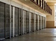 O que nosso sistema de justiça deve fazer com os infratores de nível inferior?