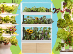 Melhores sistemas de jardim interno: testamos o ano todo (2026)