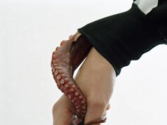 Torbjørn Rødland toca o romântico e o profano