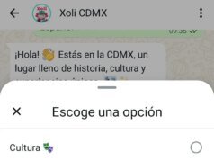 O chatbot ‘Xoli’ da Cidade do México ajudará os turistas da Copa do Mundo a navegar pela cidade