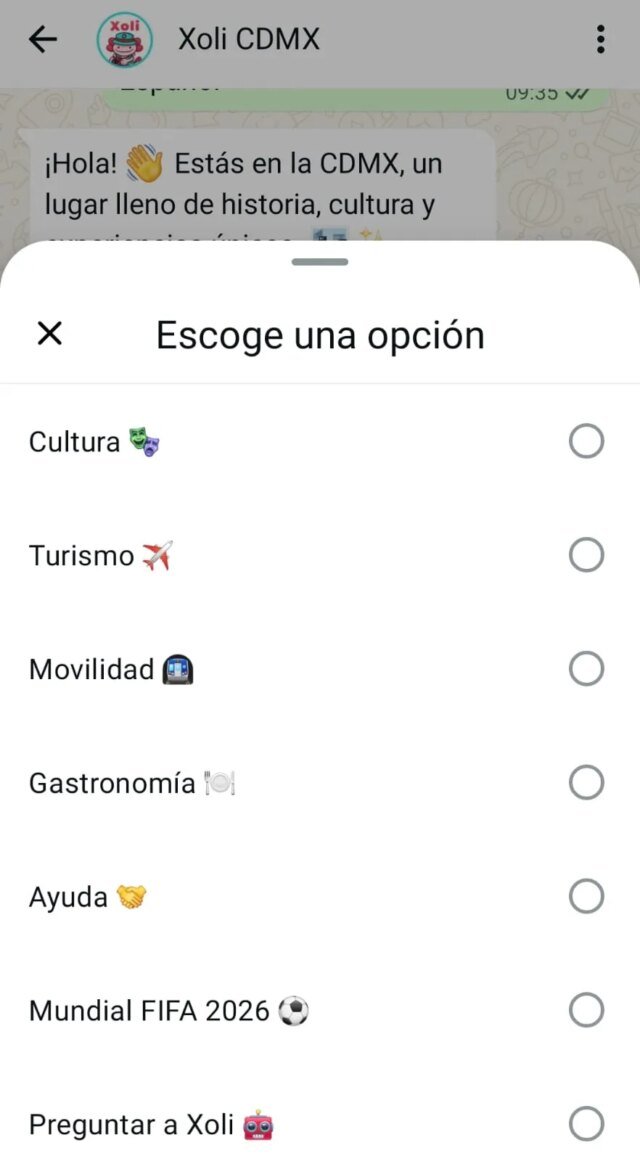 Xoli2520chatbot2520Mundial2520M25C325A9xico.jpeg