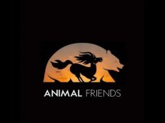 ‘Animal Friends’, com Ryan Reynolds e Jason Momoa, muda para o próximo ano