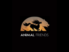 ‘Animal Friends’: R-Rated Ryan Reynolds-Jason Momoa Comédia híbrida de ação ao vivo e animação chega ao inverno de 2027
