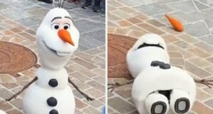 "Eu nunca vi a vida deixar os olhos de um animatrônico antes": Um vídeo do robô Olaf "Morrendo" Na frente de uma multidão na Disneyland Paris está se tornando mega viral