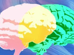 A ‘revisão de especialistas’ da Grammarly está faltando apenas os verdadeiros especialistas