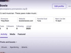 Mastodon está tornando sua rede social descentralizada mais fácil de usar com sua última reformulação