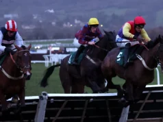 Tizzard apoia Kripticjim para enfrentar o desafio de Bartlett