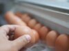 Você ainda deve comer ovos após a data de ‘melhor compra’? Veja como saber se eles estão seguros