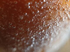 Cientistas encontraram uma nova maneira estranha de lavar frutas e vegetais