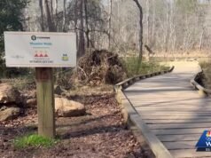 Conestee Nature Preserve reabre Woodie Walk após danos do furacão Helene