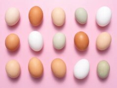 Os ovos permanecem frescos por mais tempo do que você pensa. Veja como saber se eles ainda estão bons