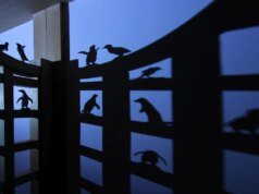 Depois de décadas com Linux, tentei usar o Windows 11 – e encontrei 9 problemas gritantes