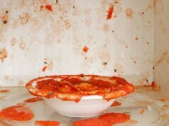 A limpeza de micro-ondas em 2 minutos: não são necessários produtos químicos