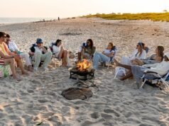 Este teste determinará qual "Casa de verão" Garota é sua personalidade gêmea literal