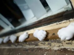 Gosnell não foi o fim da história