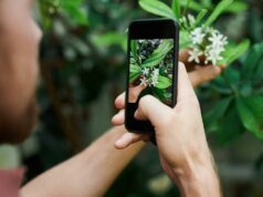 Esta é uma maneira mais inteligente de armazenar seus arquivos sem taxas de assinatura infinitas