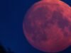 Eclipse Lunar 2026: Como tirar as melhores fotos da lua de sangue com seu telefone