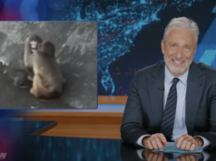 Jon Stewart tem uma reação brutal à nova namorada de Punch the Monkeys