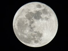 Lua cheia de abril de 2026: veja a lua rosa