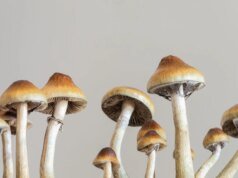 Cientistas pisam no freio no hype dos antidepressivos psicodélicos