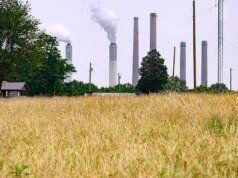 Boletim informativo da Fox News AI: Família recusa US $ 26 milhões do gigante da IA para manter terras agrícolas