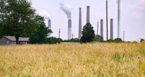 Boletim informativo da Fox News AI: Família recusa US $ 26 milhões do gigante da IA para manter terras agrícolas