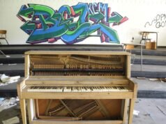 Artigo de teste para crédito de imagem em largura total