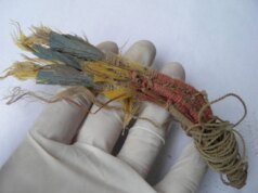 No antigo Peru, comerciantes de penas transportavam papagaios vivos por montanhas traiçoeiras