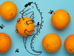 Culinária audaciosa de Kia Damon na Flórida