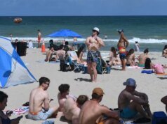 Em defesa dos idiotas da praia