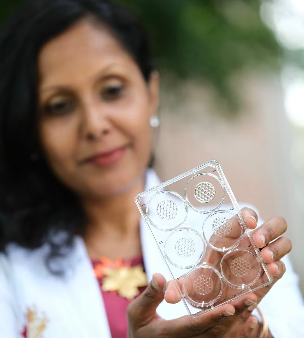 Outros países pretendem acabar com os testes em animais. No Canadá, há um assalto