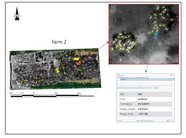 Alberta testa tecnologia de drones com tecnologia de IA na batalha contra javalis