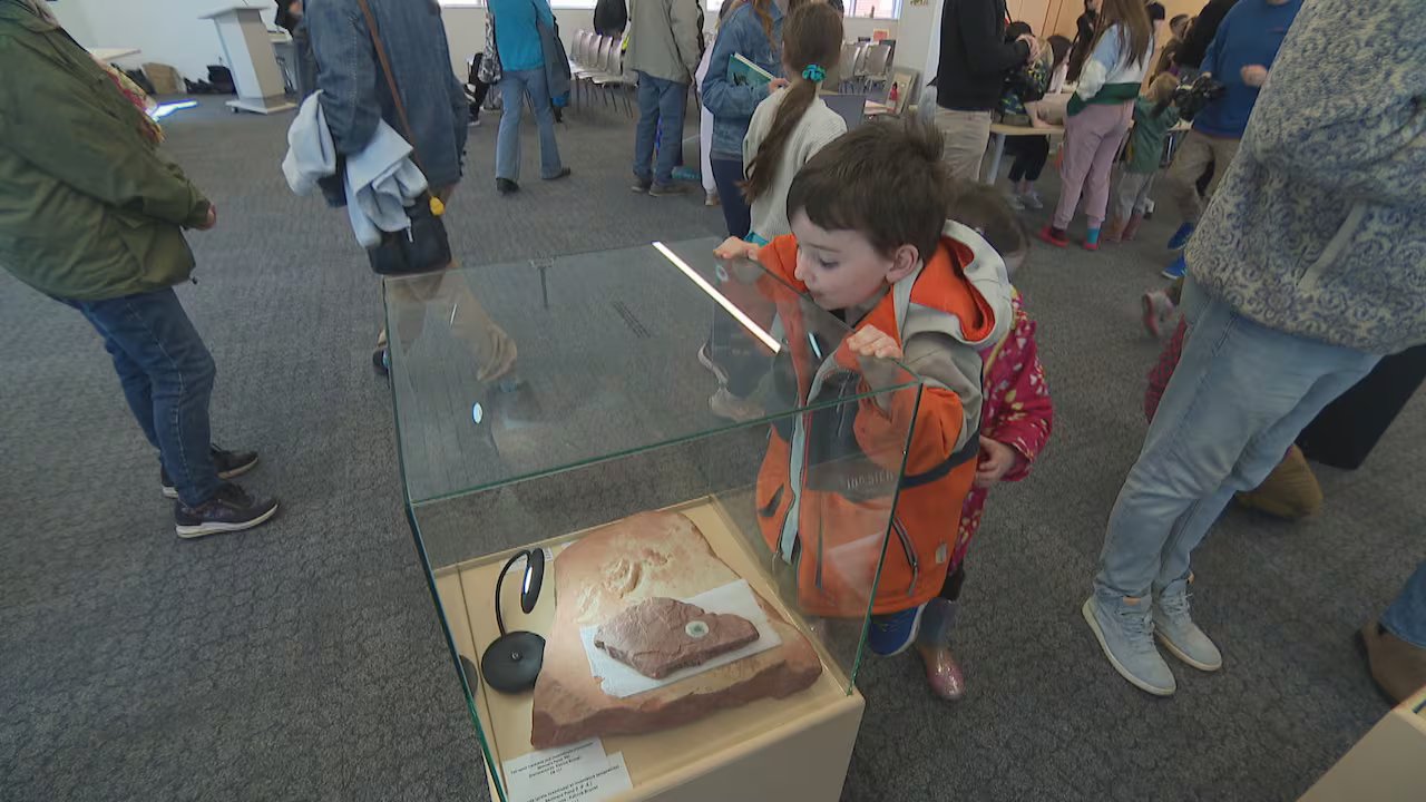 3º Dia Anual dos Fósseis ensina as crianças do PEI como encontrar tesouros pré-históricos