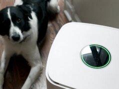 Testei todos os dispositivos domésticos inteligentes ‘anti-alérgicos’ – esses 6 realmente mantêm o pólen do lado de fora