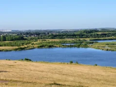 Nova praia de nidificação de aves na reserva RSPB