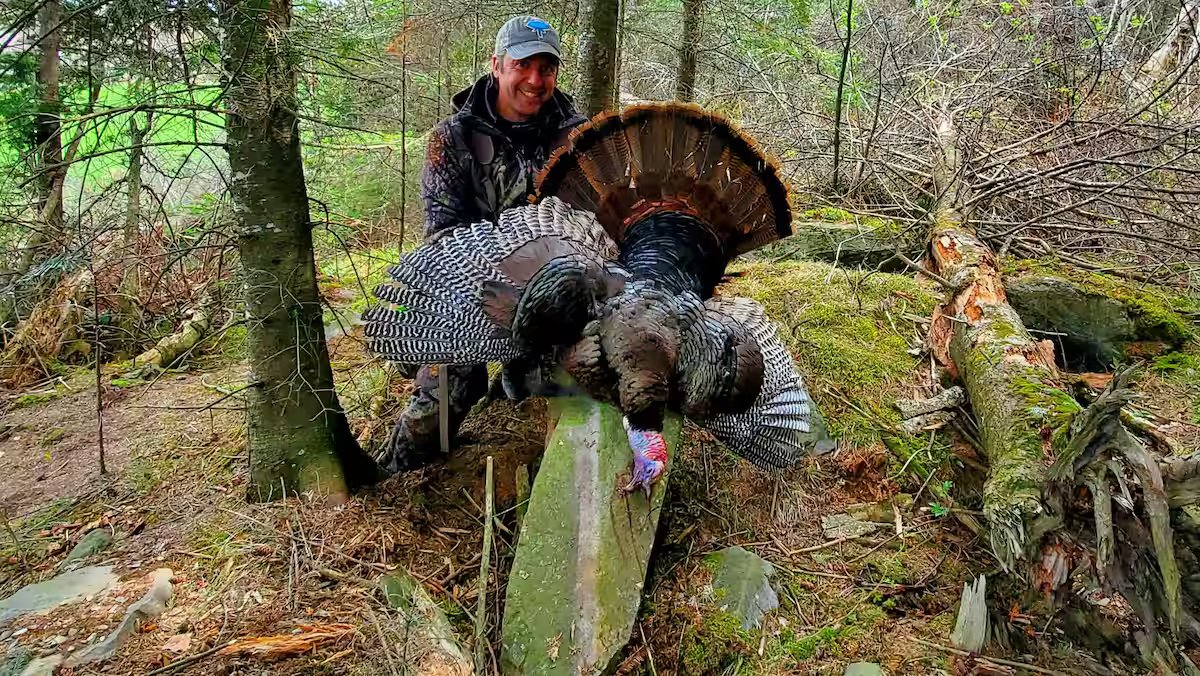 Le Dindon Sauvage, um adversário redoutável