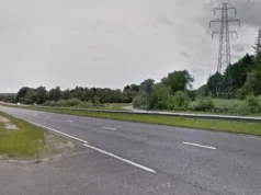 Cavalos soltos na faixa de rodagem de uma estrada principal