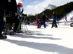 O que essa queda de neve no final da temporada significa para a primavera de Calgary?