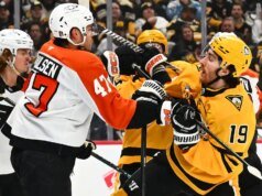 Os pinguins buscam soluções