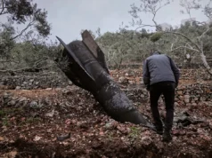 Trump ataca aliados e diz que proteger o Estreito de Ormuz “não é para nós”