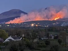 ‘Véu de sigilo’ em torno dos incendiários dos incêndios florestais
