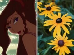 Escolha seus filmes favoritos da Disney e nós adivinharemos sua flor favorita
