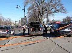 Esfaqueamento diurno no Mount Royal Park, em Montreal, deixa homem em situação de risco de vida: polícia