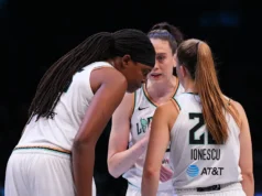 Conclusões da agência gratuita da WNBA: os candidatos às finais carregam, os veteranos voltam e alguns provam que você pode voltar para casa