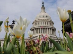 Votação para acabar com a guerra no Irã fracassa novamente no Senado dos EUA, enquanto os democratas prometem continuar tentando