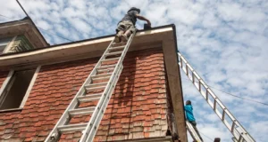 As apostas de Lowe que a IA não conseguirá consertar um buraco no seu telhado