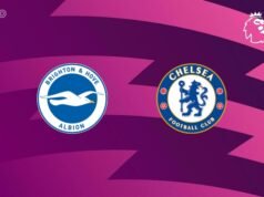 VISUALIZAÇÃO | Brighton & Hove Albion x Chelsea: notícias do time, escalações, previsões (Premier League 21/04)
