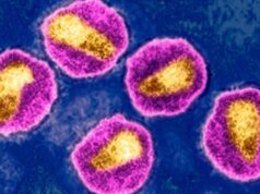 Homem da Noruega é curado do HIV com células-tronco do irmão