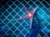 Netflix renova Stranger Things: Tales From ’85 para a segunda temporada, apesar das piores classificações de franquia de todos os tempos