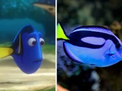 Desculpe, mas apenas os adultos da Disney podem passar neste teste de conhecimentos gerais da Disney